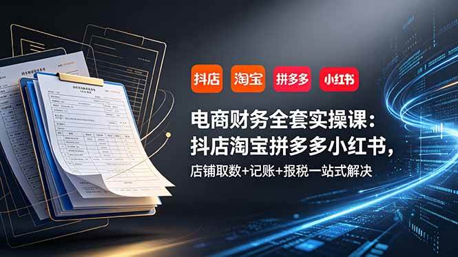 (19001期)电商财务全套实操课:抖店淘宝拼多多小红书,店铺取数+记账+报税一站式解决-智云网
