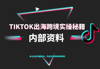 TikTok跨境电商0-1搭建运营(更新10月)-智云网