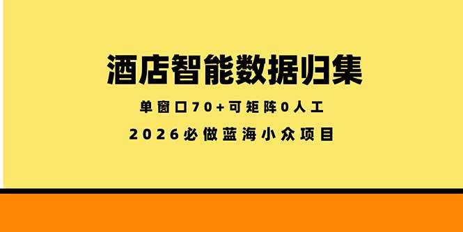 (18500期)酒店智能数据归集,小众蓝海已经稳定半年之久,单窗口70+零成本矩阵开干-智云网