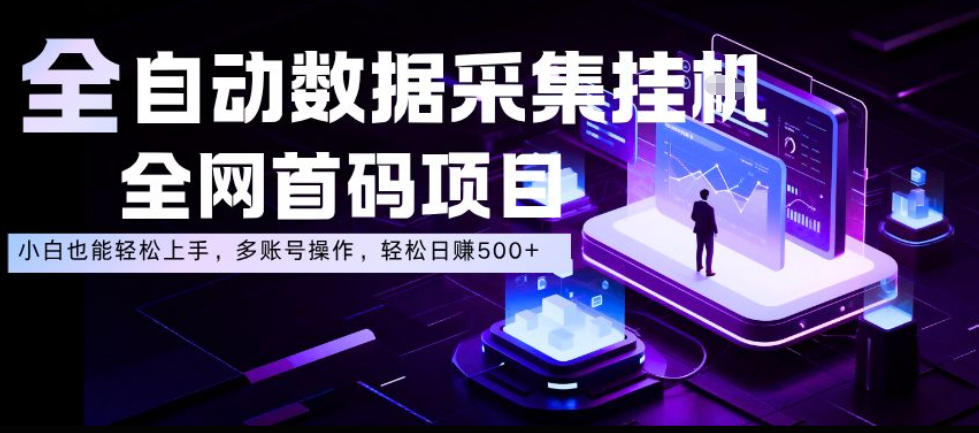 全自动数据采集挂G,全网首码项目,简单易操作,小白也能轻松上手,多账号操作,轻松日入500+【揭秘】-智云网