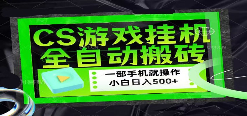CSGO游戏挂机捡漏搬砖，超稳定的项目，带领1000+小白实现日入500+-智云网