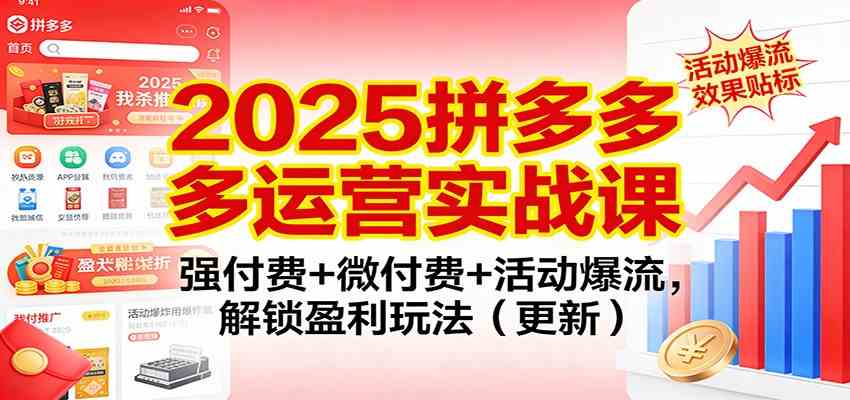 2025拼多多运营实战课:强付费+微付费+活动爆流,解锁盈利玩法(更新)-智云网