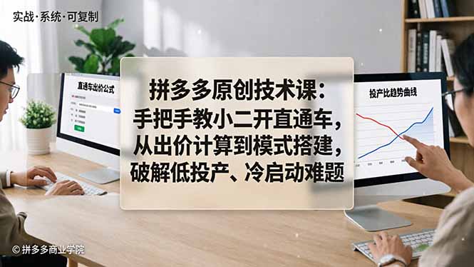 拼多多原创技术课：手把手教小二开直通车，从出价计算到模式搭建，破解低投产、冷启动难题-智云网