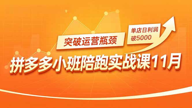 拼多多小班陪跑实战课11月,强付费矩阵、原价活动、暗券引流,突破运营瓶颈,单店日利润破5000-智云网