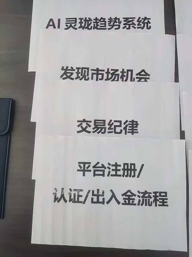 图片[3]-海外美金AI掘金项目，200U可入门槛，一天一单即可，每天1000-2000很轻松！-智云网