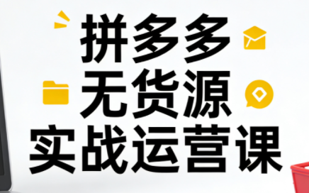 子枫老师·拼多多无货源实战运营课(更新12月)-智云网