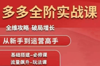 大炮·拼多多全阶实战课程(更新2026)-智云网
