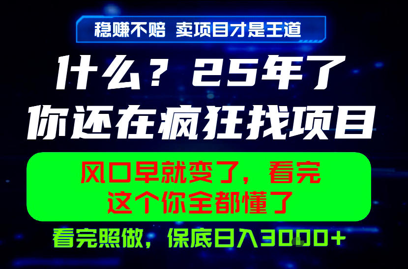 26年,请不要疯狂的找项目做了!卖项目才是真的稳賺不赔,看完照做,保底日入1k+【揭秘】-智云网