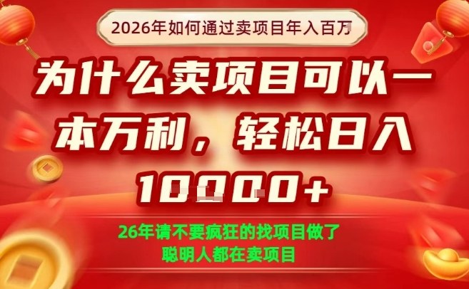一单净利润1K+,26年想年入100个W,死磕卖项目就够了【揭秘】-智云网
