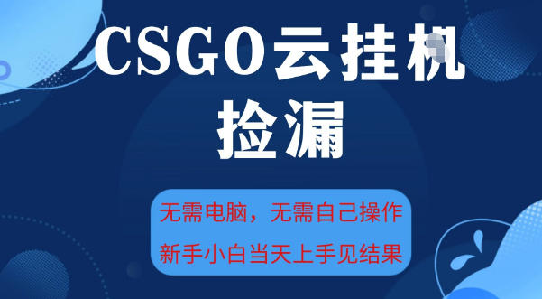 CSGO云挂G全自动捡漏,最新独家玩法,无需电脑操作,新手小白日入5张+【揭秘】-智云网