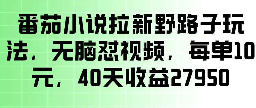 番茄小说拉新野路子玩法,无脑怼视频,玩法简单、见效快,每单10米,40天收益27950-智云网
