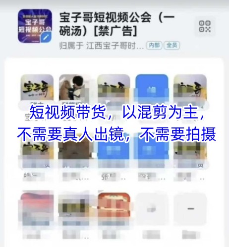 宝子哥头部团队短视频带货,以混剪为主,不需要真人出镜,不需要拍摄【更新26年1月】-智云网