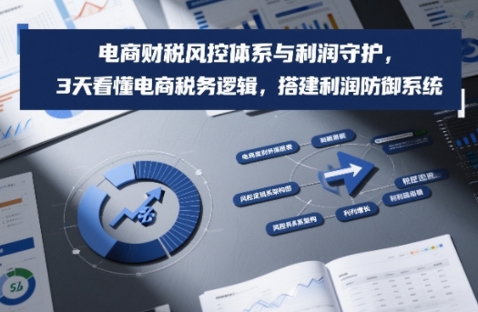 电商财税风控体系与利润守护,3天看懂电商税务逻辑,搭建利润防御系统-智云网