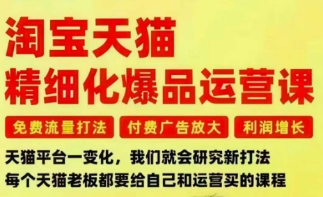 淘宝天猫精细化爆品运营课，免费流量打法-付费广告放大-利润增长-三大核心痛点，一次全部解决-智云网