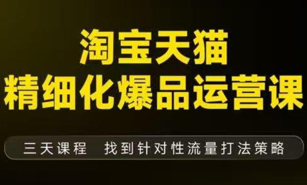 淘宝天猫精细化爆品运营(9月12-14杭州线下课),全方位拆解爆品打造逻辑【音频+字幕+文档】