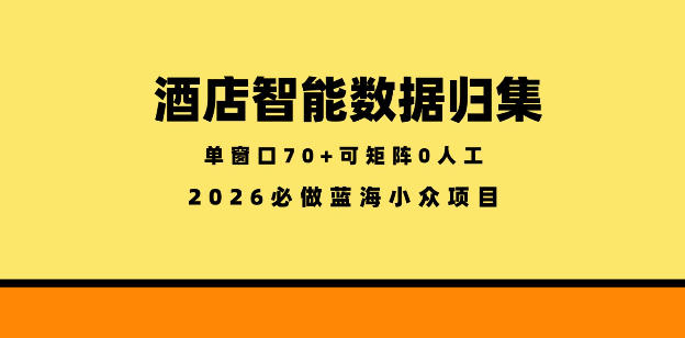 酒店智能数据归集,小众蓝海已经稳定半年之久,单窗口70+零成本矩阵开干【揭秘】-智云网