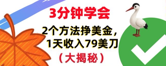 免费挣美刀的2个方法,1天收入79刀,超简单,3分钟学会-智云网
