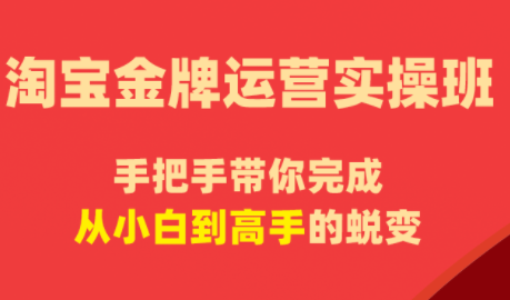 飓风电商·淘宝金牌运营实操班-智云网