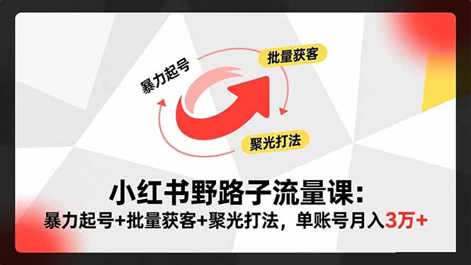小红书野路子流量课:暴力起号+批量获客+聚光打法,单账号月入3万+-智云网