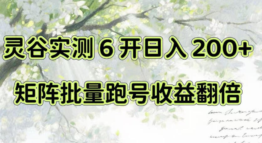 一台电脑就能做!灵谷实测6开日入200+,矩阵批量跑号收益翻倍【揭秘】-智云网