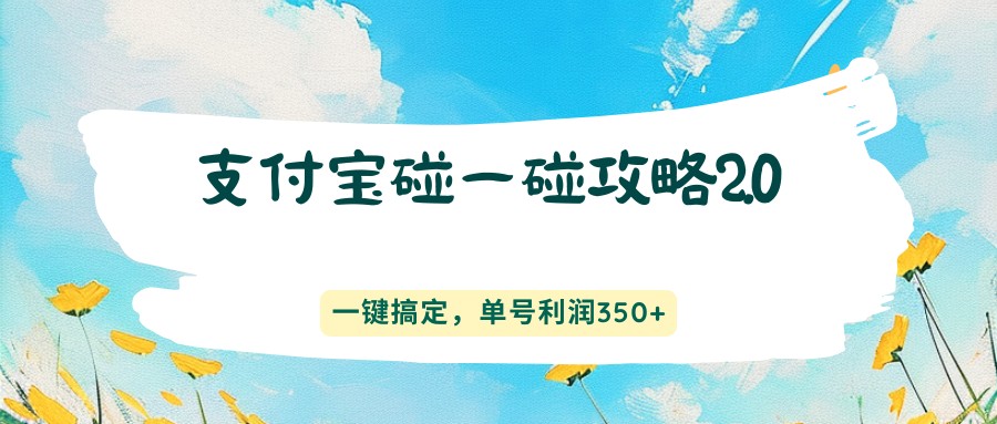 支付宝碰一碰攻略2.0,一键搞定,单号利润350+-智云网