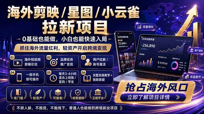 (18567期)海外剪映 / 星图 / 小云雀拉新项目 普通人也能上手的跨境流量变现副业-智云网