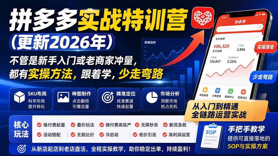 （20280期）拼多多实战特训营(更新26年9月)：不管是新手入门或老商家冲量，都有实操方法，跟着学，少走弯路-智云网