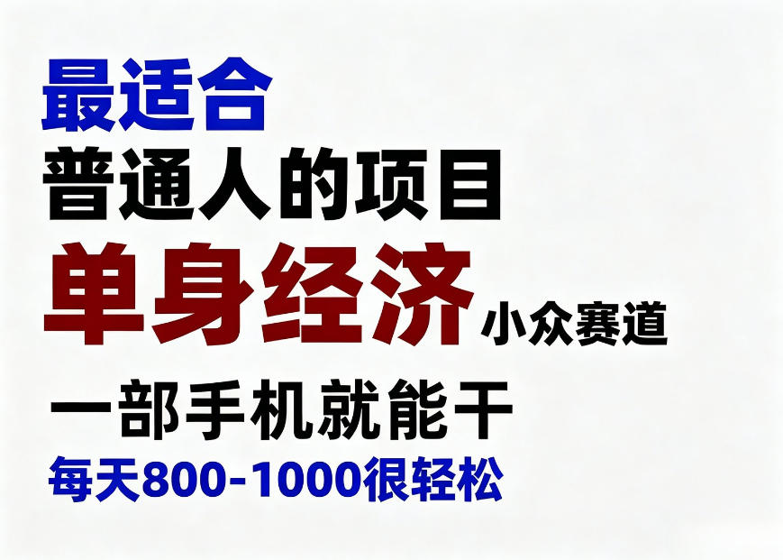 身经济小众赛道,一部手机就能干,每天搞个800-1000很轻松,最适合普通人的项目【揭秘】-智云网