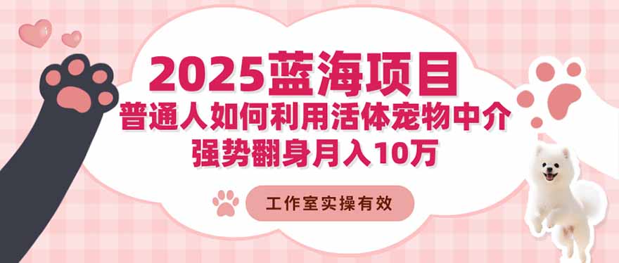 2025蓝海项目：普通人如何利用活体宠物中介，强势翻身月入10万-智云网