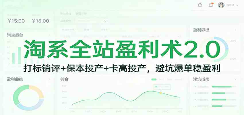 淘系全站盈利术2.0:打标销评+保本投产+卡高投产,避坑爆单稳盈利-智云网