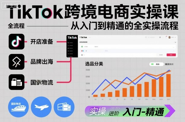 TikTok跨境电商实操课,从入门到精通的全实操流程-智云网