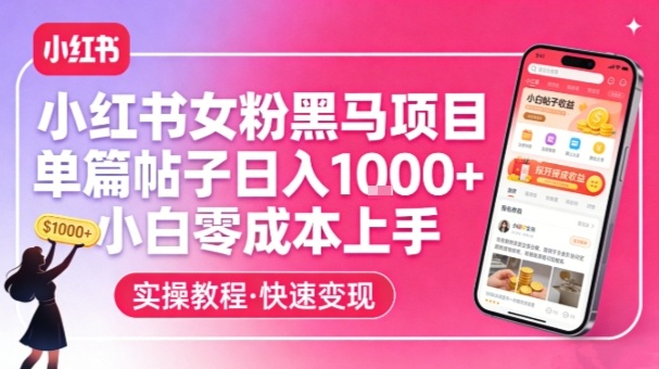 小红书女粉黑马项目，单篇帖子日入1k+，小白零成本上手-智云网
