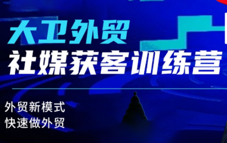 大卫老师·外贸社媒获客独家训练营(更新10月)-智云网