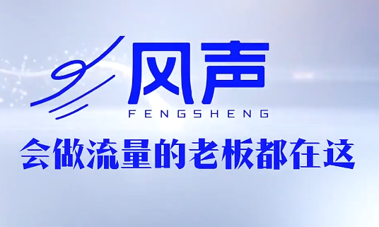 董十一·风声短视频AI获客年度会员-智云网