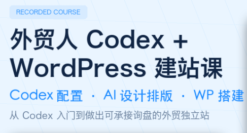 大卫·外贸人Codex + WordPress建站课(更新8月)-智云网