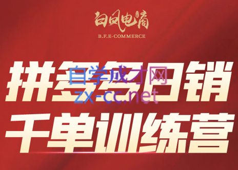 白凤电商·拼多多日销千单训练营(更新2月)-智云网