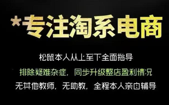 松鼠会电商VIP课程,从基础布局到高阶优化,助你掌握淘宝运营逻辑,提升店铺流量与转化-智云网